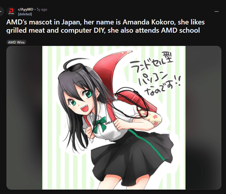r/AyyMD Reddit post: 'AMD's mascot in Japan, her name is Amanda Kokoro, she likes grilled meat and computer DIY, she also attends AMD school'